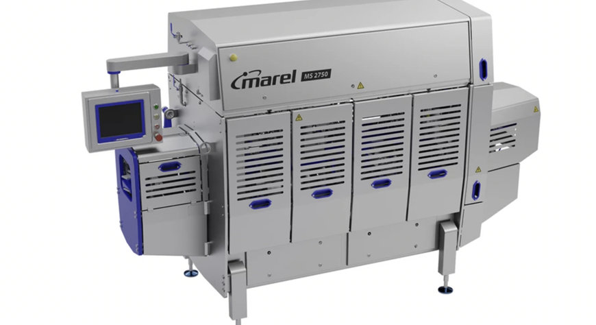 MAREL: LA MS 2750 INAUGURA UNA NUEVA ERA EN EL FILETEADO DE SALMÓN